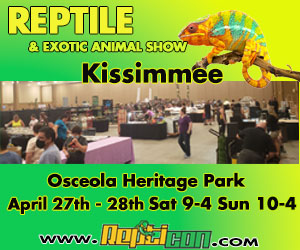 Don't mis Repticon Kisimmee April 27 & 28th at Osceola Heritage Park!